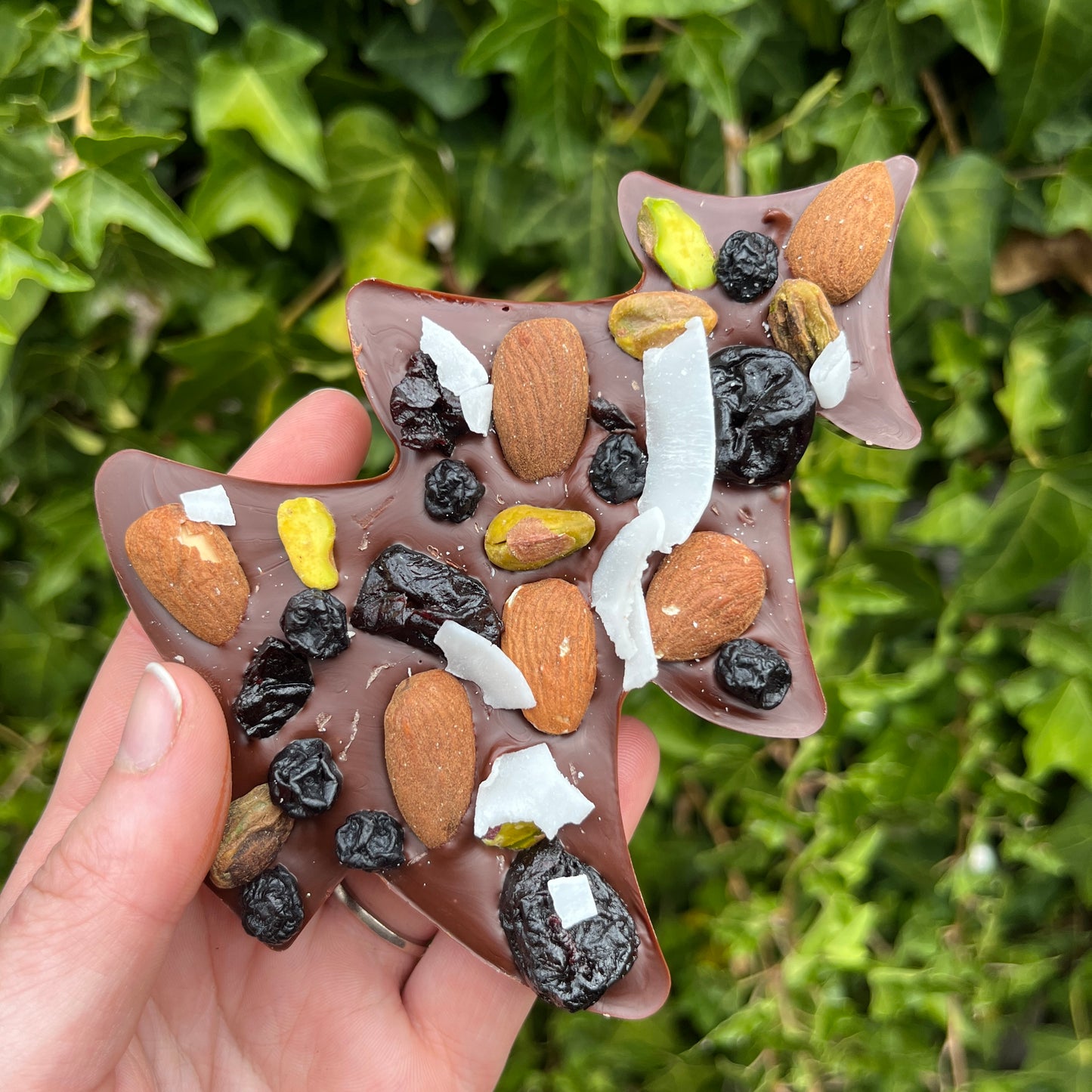 Fruit and Nut Chocolate Tree