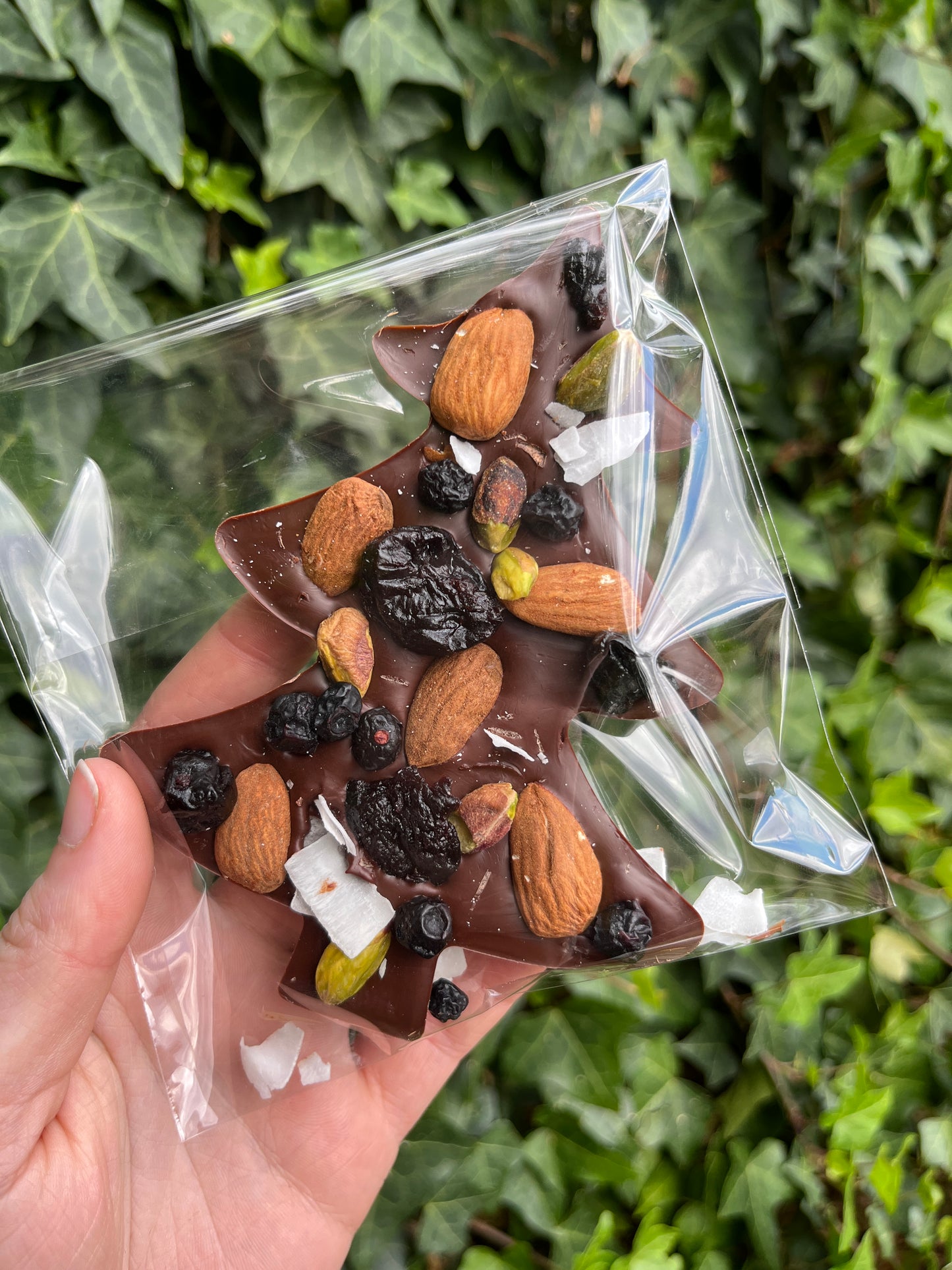 Fruit and Nut Chocolate Tree