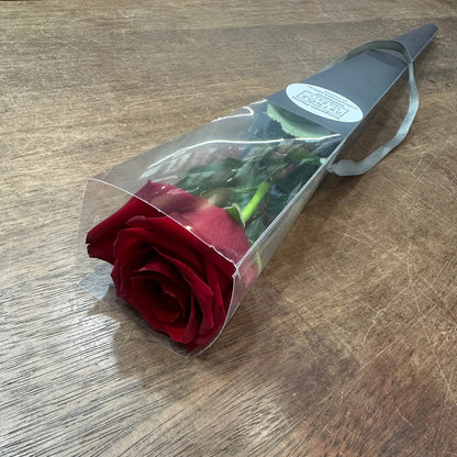 Single Stem Red Rose